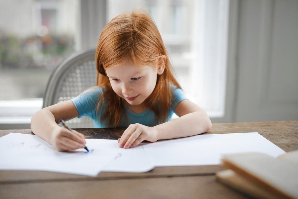 Diligent-small-girl-drawing-on-paper-in-light-living-room-at-home_png_85