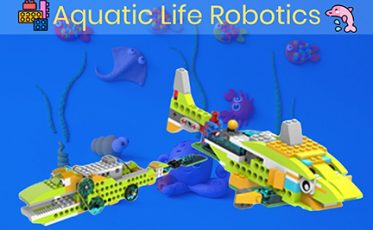 Aquatic Life Robotics summer camp